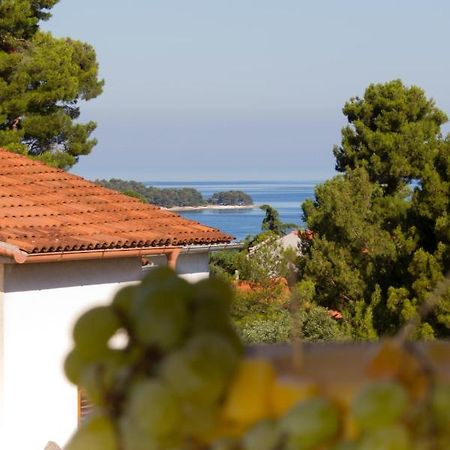 Studio Apartman Nega 2 Rovinj Exterior photo