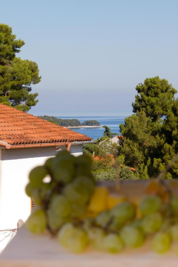Studio Apartman Nega 2 Rovinj Exterior photo
